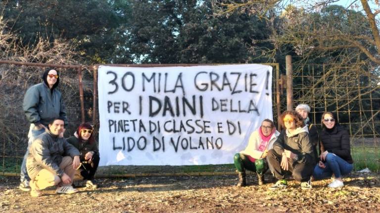 Ravenna, daini della Pineta di Classe: quasi 30mila firme raccolte dagli attivisti Ravenna, daini della Pineta di Classe: quasi 30mila firme raccolte dagli attivisti