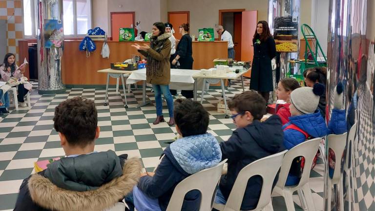 Rimini, “Scuola con Gusto”: al via il progetto del Caar dedicati ai più giovani - Gallery Rimini, “Scuola con Gusto”: al via il progetto del Caar dedicati ai più giovani - Gallery