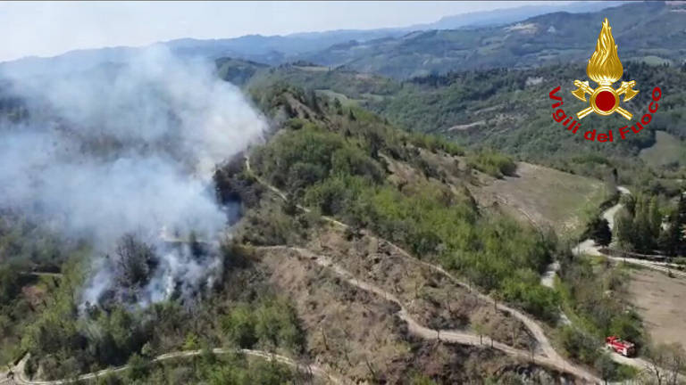 Modigliana, incendio nel bosco Modigliana, incendio nel bosco