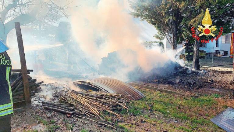 Imola, incendio di una catasta di legna: intervento dei vigili del fuoco Imola, incendio di una catasta di legna: intervento dei vigili del fuoco
