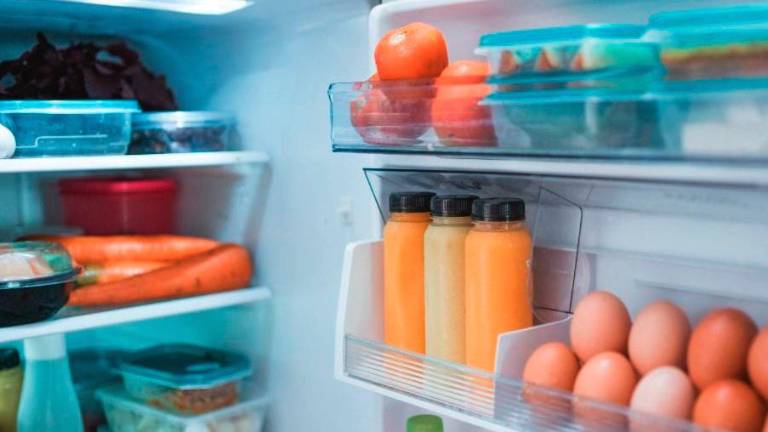 Forlì. Intossicazioni alimentari, oltre 600 casi in provincia dal 2024 ad oggi Forlì. Intossicazioni alimentari, oltre 600 casi in provincia dal 2024 ad oggi