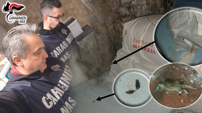 Una delle situazioni accertate dai Nas Una delle situazioni accertate dai Nas