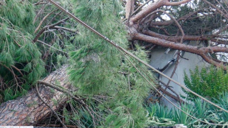 Tempesta in Romagna: si parte con il recupero dei rifiuti Tempesta in Romagna: si parte con il recupero dei rifiuti