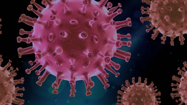 Coronavirus, a Ravenna superati i 12mila contagi Coronavirus, a Ravenna superati i 12mila contagi