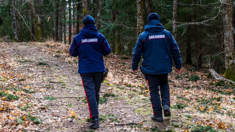 Rimini, suicidio in caserma: Carabiniere forestale si toglie la vita Rimini, suicidio in caserma: Carabiniere forestale si toglie la vita