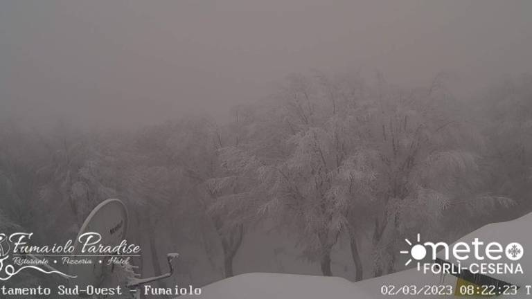 #getTitleImage_v1($tempImage) #getAltImage_v1($tempImage)