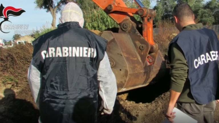Verucchio. Taglia abusivamente 148 piante, denunciato Verucchio. Taglia abusivamente 148 piante, denunciato