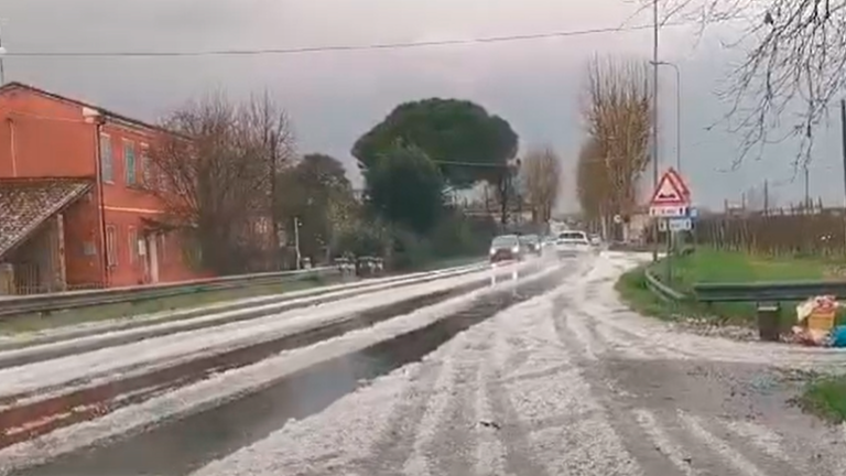 Grandine tra Russi e Bagnacavallo, la Coldiretti di Ravenna avvia la ricognizione dei danni Grandine tra Russi e Bagnacavallo, la Coldiretti di Ravenna avvia la ricognizione dei danni
