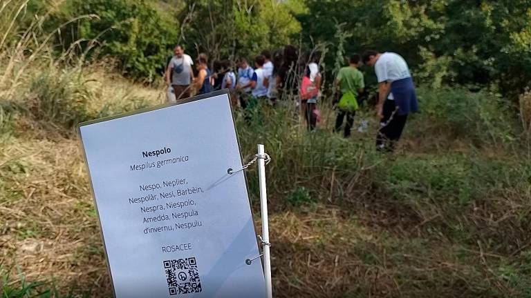 Benvenuti nella Food Forest, la foresta che si mangia a Santa Sofia VIDEO GALLERY Benvenuti nella Food Forest, la foresta che si mangia a Santa Sofia VIDEO GALLERY