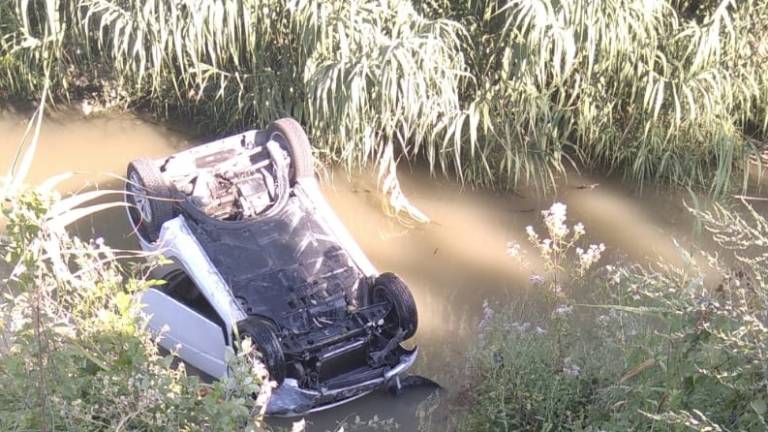 Savignano, è stata colpa di una nutria: risolto il mistero dell'auto nel torrente Savignano, è stata colpa di una nutria: risolto il mistero dell'auto nel torrente