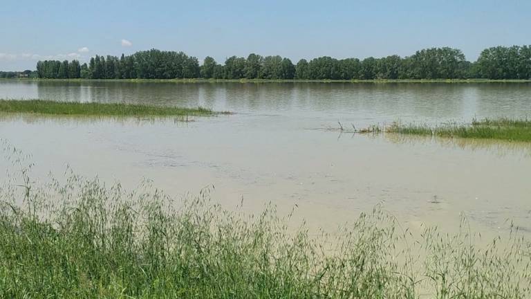 Ravenna, terreni coltivati sommersi per salvare i paesi: Agrisfera ha sacrificato 500 ettari Ravenna, terreni coltivati sommersi per salvare i paesi: Agrisfera ha sacrificato 500 ettari