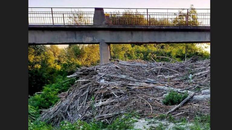 Lugo, a 90 giorni dall'alluvione, una diga di tronchi e rami sul Santerno a Villa San Martino: Incuria inaccettabile Lugo, a 90 giorni dall'alluvione, una diga di tronchi e rami sul Santerno a Villa San Martino: Incuria inaccettabile