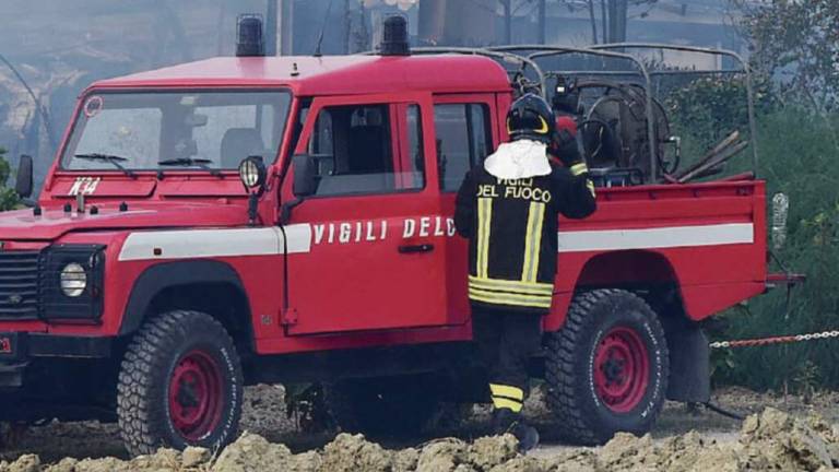 Rogo nella stalla: due ustionati, morte venti vacche Rogo nella stalla: due ustionati, morte venti vacche