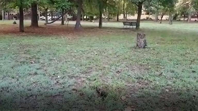 Imola, piede in una buca nel parchetto. Il Comune dovrà risarcire Imola, piede in una buca nel parchetto. Il Comune dovrà risarcire