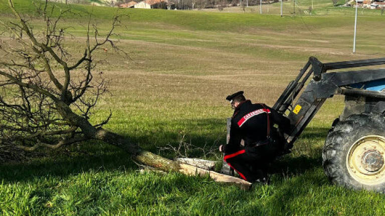 Incidente nei campi: ex professore di Cesena trovato morto dopo un giorno Incidente nei campi: ex professore di Cesena trovato morto dopo un giorno