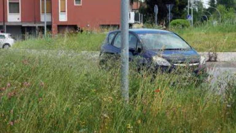 Forlì, erba alta sulle provinciali. Le risorse non bastano per tutto Forlì, erba alta sulle provinciali. Le risorse non bastano per tutto