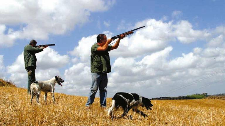 Regione. Sì alla moretta tra le specie cacciabili e posticipo della chiusura della caccia per lepre, fagiano, starna e pernice rossa Regione. Sì alla moretta tra le specie cacciabili e posticipo della chiusura della caccia per lepre, fagiano, starna e pernice rossa