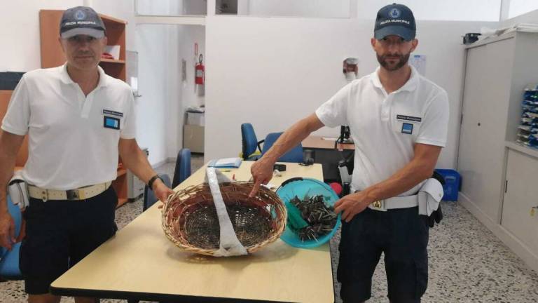 Rimini, cinquemila euro di multa a un venditore abusivo di cocco Rimini, cinquemila euro di multa a un venditore abusivo di cocco