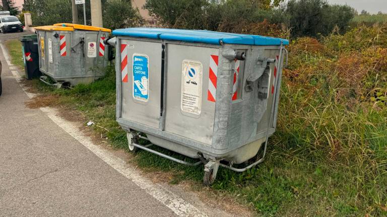 Cesena, partorisce in casa e getta il bimbo a fianco dei cassonetti dei rifiuti Cesena, partorisce in casa e getta il bimbo a fianco dei cassonetti dei rifiuti