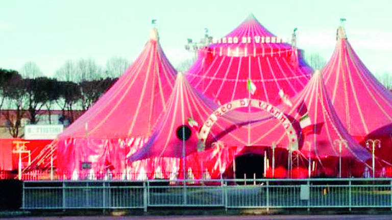 Circo di Vienna a Forlì, rubato l’incasso del fine settimana Circo di Vienna a Forlì, rubato l’incasso del fine settimana