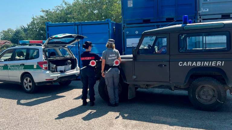 Forlì, animali vivi stipati nei camion: già dieci multe in estate dei Carabinieri Forestali Forlì, animali vivi stipati nei camion: già dieci multe in estate dei Carabinieri Forestali