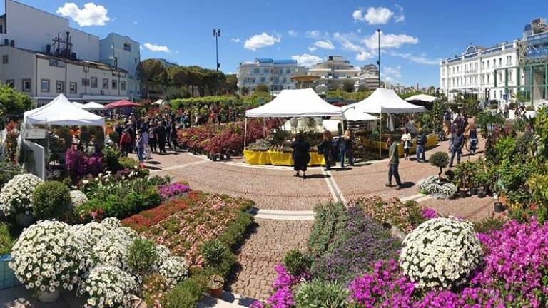 Nel week-end torna Cattolica in fiore Nel week-end torna Cattolica in fiore