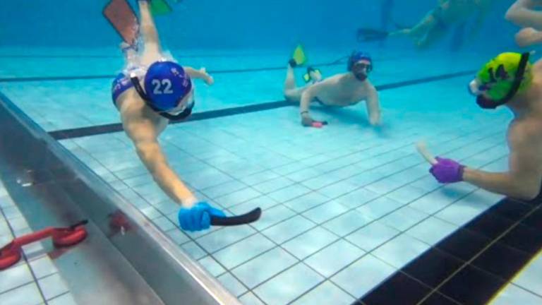 Riccione, arriva l’hockey subacqueo: 400 atleti in gara nel week-end Riccione, arriva l’hockey subacqueo: 400 atleti in gara nel week-end