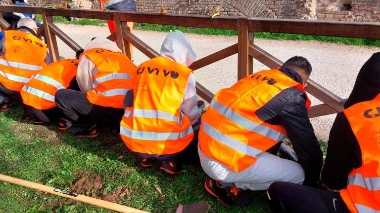 Rimini, il giardinaggio contro la dispersione scolastica: i ragazzi dell’Enaip Zavatta cureranno le aree verdi Rimini, il giardinaggio contro la dispersione scolastica: i ragazzi dell’Enaip Zavatta cureranno le aree verdi