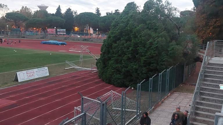 Cesenatico, grosso albero caduto sulla pista di atletica Cesenatico, grosso albero caduto sulla pista di atletica