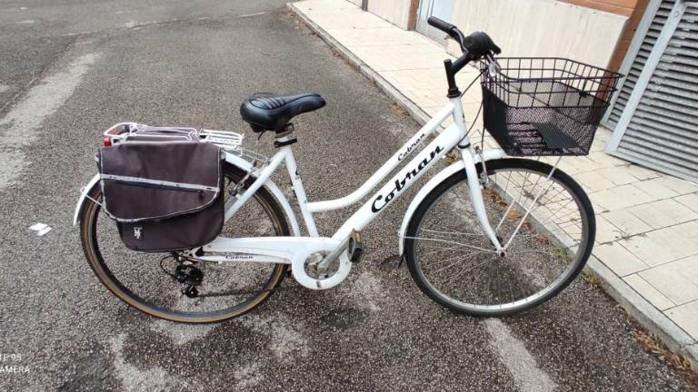 Rimini, recuperate 4 biciclette rubate - Gallery Rimini, recuperate 4 biciclette rubate - Gallery