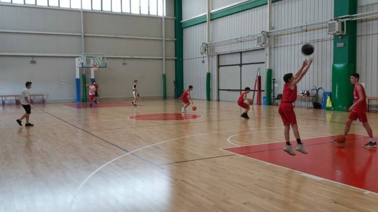 Basket, le giovanili dell'Unieuro Forlì tornano ad allenarsi Basket, le giovanili dell'Unieuro Forlì tornano ad allenarsi