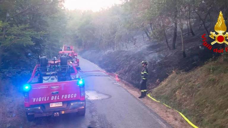 Modigliana, incendio nel bosco: pronto intervento dei Vigili del Fuoco Modigliana, incendio nel bosco: pronto intervento dei Vigili del Fuoco