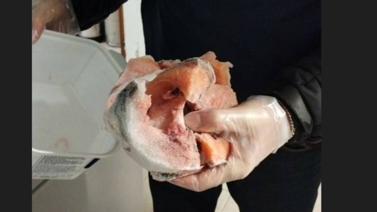 Cattiva conservazione del pesce e regole violate: sequestrate due tonnellate e mezzo in Romagna VIDEO GALLERY Cattiva conservazione del pesce e regole violate: sequestrate due tonnellate e mezzo in Romagna VIDEO GALLERY