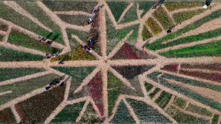 Foto e video di Gian Maria Zanotti