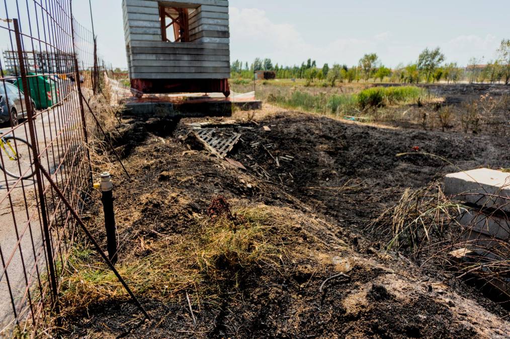 Ravenna e l’incendio al Parco Cesarea, il Comune: “La manutenzione dell’area verde ha evitato l’estendersi dell’incendio” - Gallery