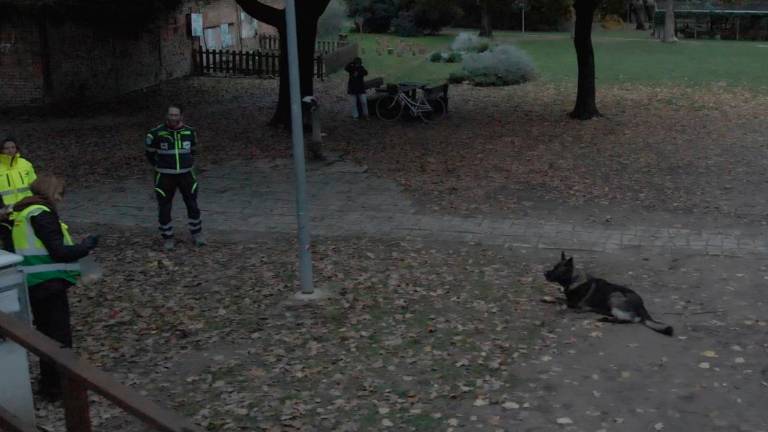 Faenza, cani sotto attacco: ricerca di bocconi avvelenati ai parchi Tassinari e Bertozzi