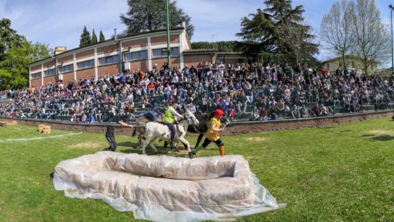 Fontanelice, emozioni e colpi di scena alla corsa dei somari