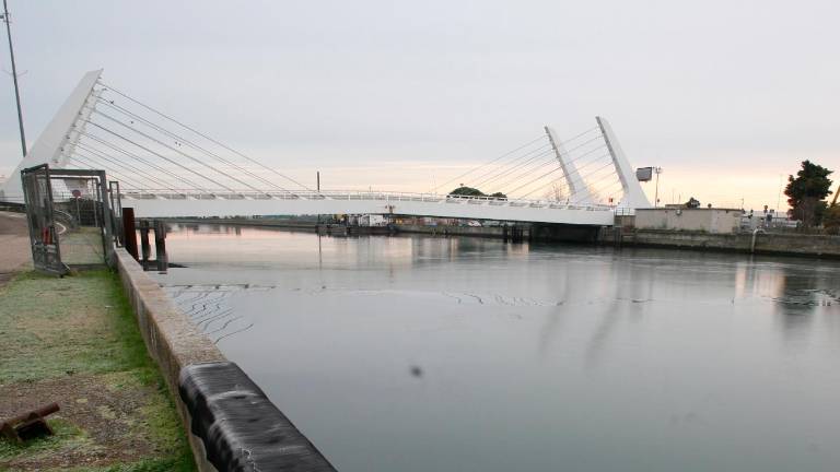 Foto Massimo Fiorentini