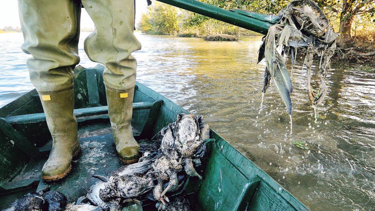 Ravenna, Valle della Canna: via agli interventi per garantire l’apporto idrico
