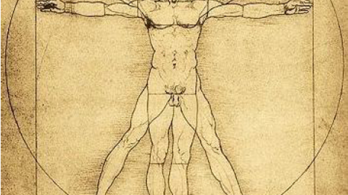 Castrocaro rende omaggio a Leonardo Da Vinci: 40 invenzioni in mostra