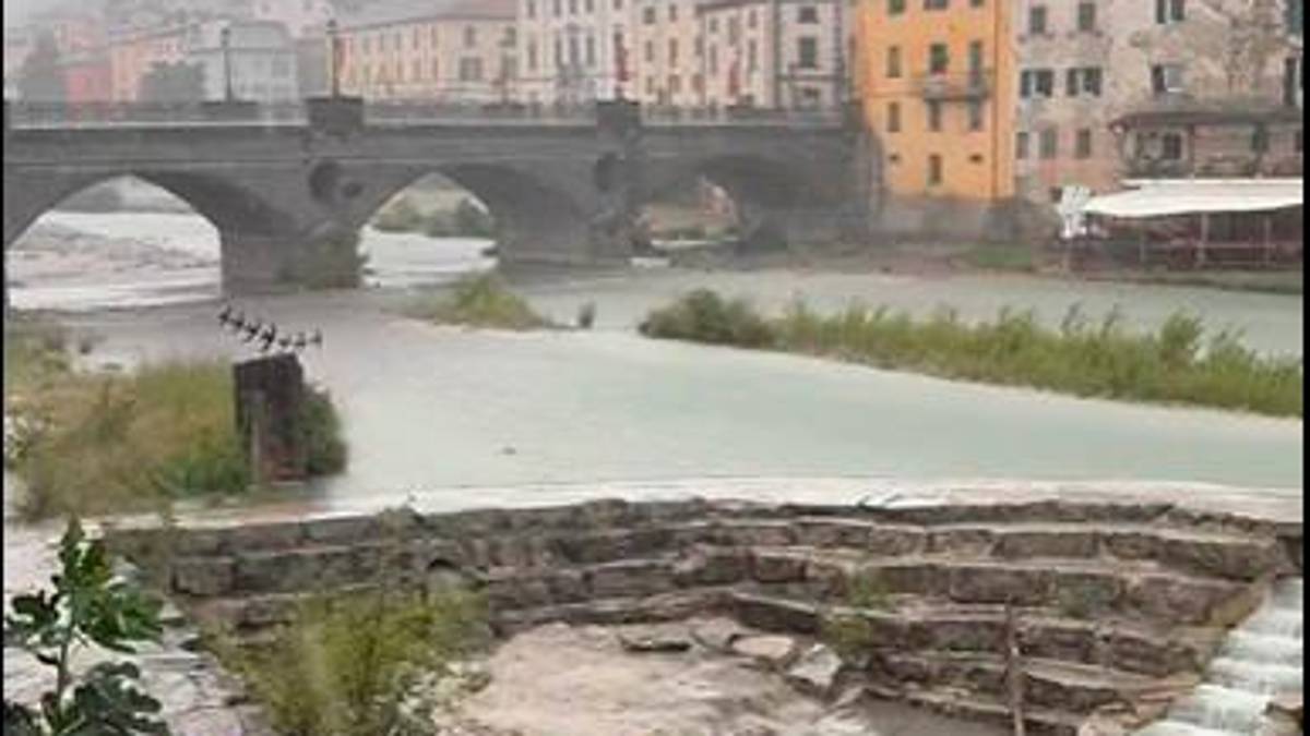 Video Nicola Andrucci Linea Gotica