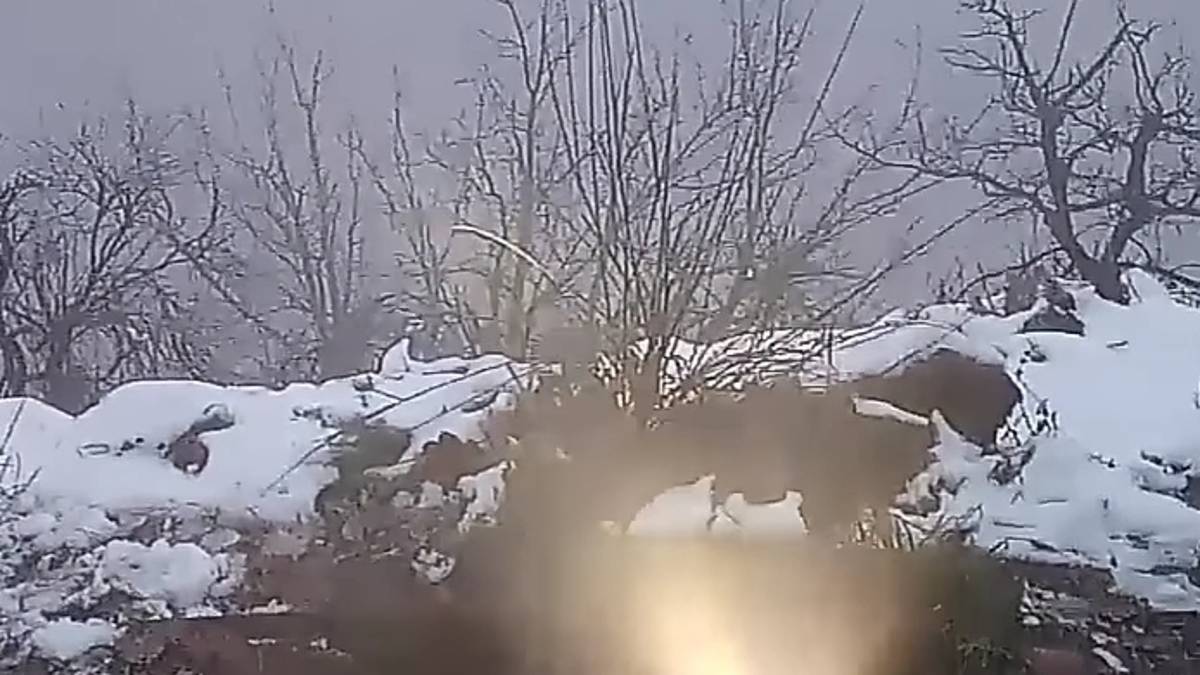 Riolo, i segreti del Parco dei gessi: geyser, fuochi, gas, sorgenti