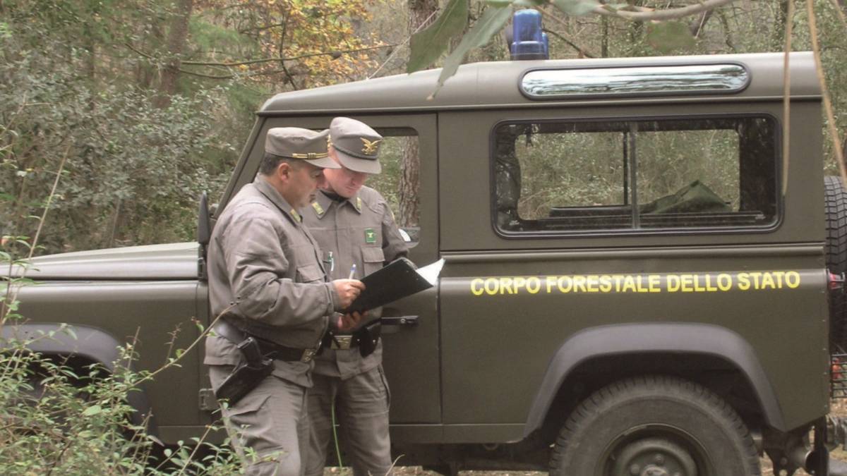 Si perdono nel bosco, scout soccorsi dalla Forestale