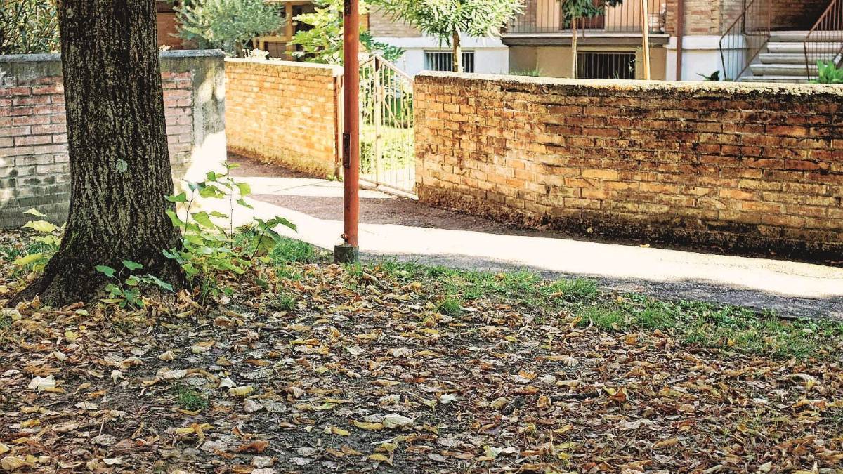 Inseguimento e sangue alle Vigne