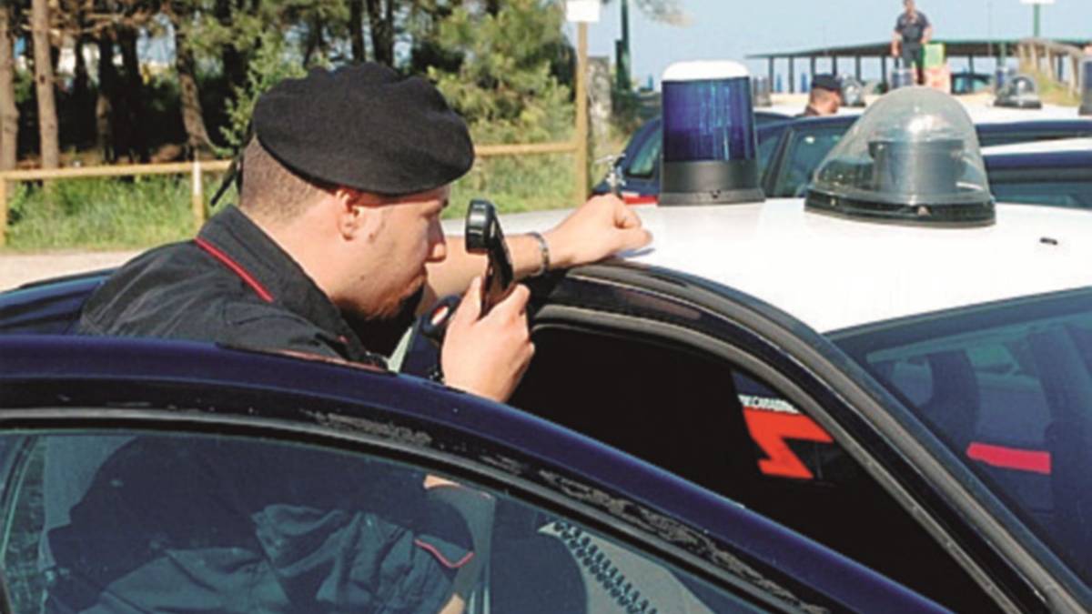 Il suo pitbull sbrana un gatto lui ride e si disfa della carcassa