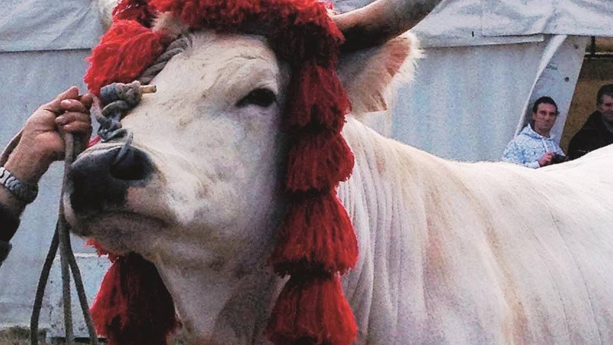 Fiera di San Gregorio mille anni e non sentirli