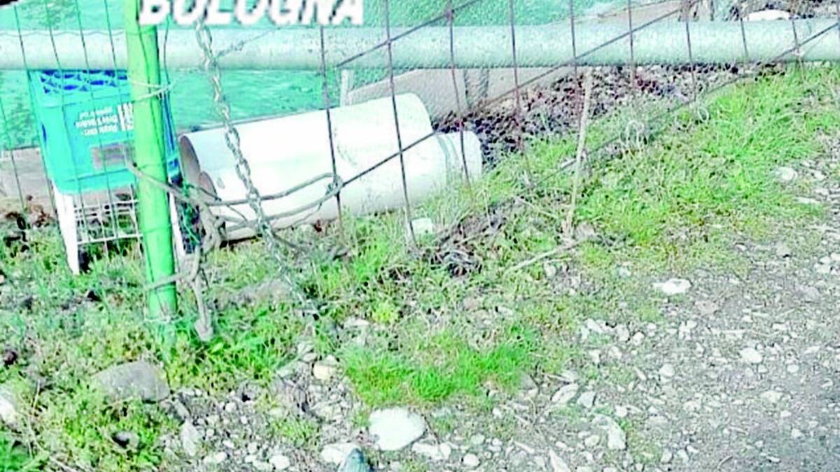 Rubano cinque quintali di trote stordendole con la corrente elettrica