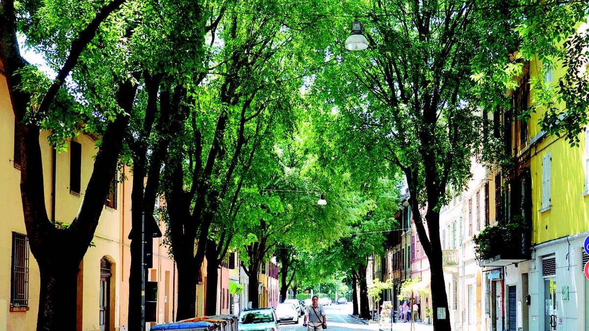 Non saranno tagliate le piante di corso Diaz