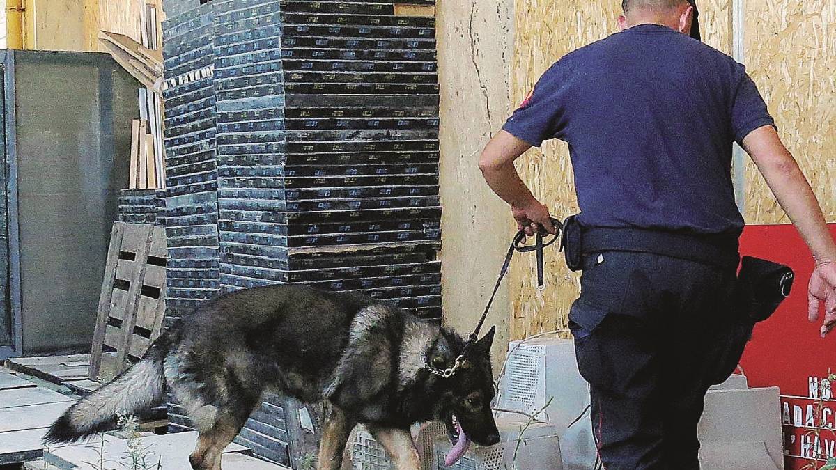 Malore dopo una canna a scuola: studente in ospedale