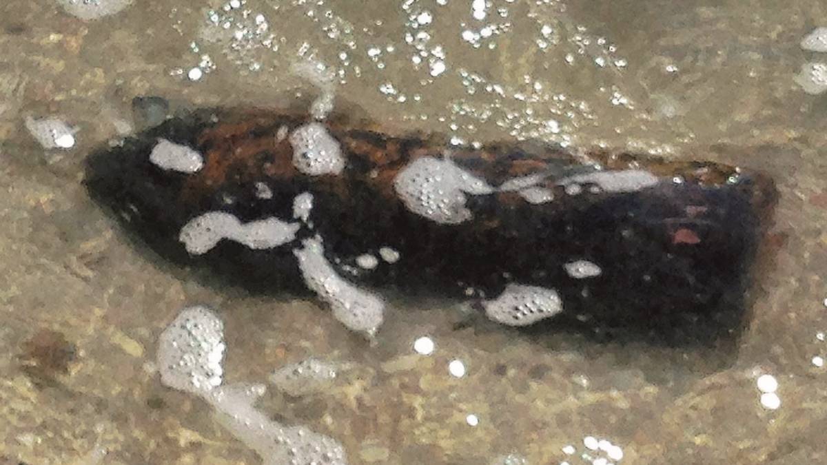 Bomba riaffiora sul bagnasciuga